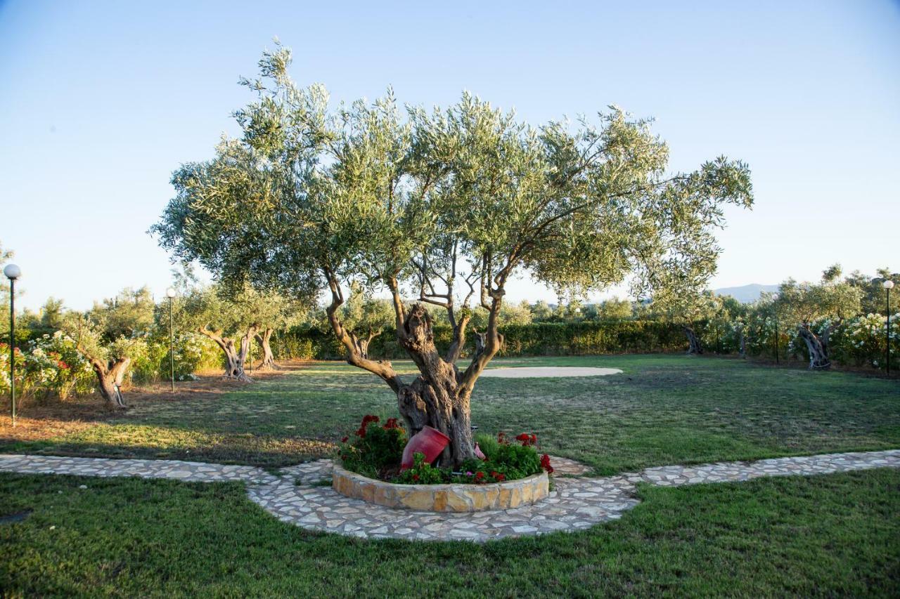 Apartmán Agroktima Elia Nafplio Exteriér fotografie